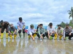 La rehabilitación del arroz tras el desastre en Sumatra aumenta en 4.000 hectáreas en 17 días
| La rehabilitación del arroz tras el desastre en Sumatra aumenta en 4.000 hectáreas en 17 días
|