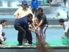 Prabowo participa en la recolección de camarón con los agricultores de Kebumen
| Prabowo participa en la recolección de camarón con los agricultores de Kebumen
|