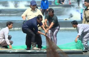 Prabowo en Kebumen: Zulhas reelabora sus chistes hacia la autosuficiencia
| Prabowo participa en la recolección de camarón con los agricultores de Kebumen
|