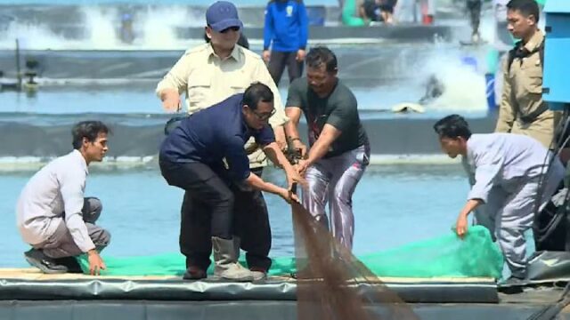 Prabowo participa en la recolección de camarón con los agricultores Prabowo participa en la recolección de camarón con los agricultores de Kebumen
|