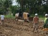 Se retira el barro y 712 hectáreas de arrozales de Aceh Tamiang están listas para la replantación
| Se retira el barro y 712 hectáreas de arrozales de Aceh Tamiang están listas para la replantación
|