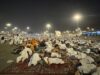 Los peregrinos del Hajj de Bangkalan se retrasan en recibir alimentos en Mina
| Los peregrinos del Hajj de Bangkalan se retrasan en recibir alimentos en Mina
|