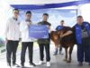 PNM distribuye animales de sacrificio en 18 sucursales
| PNM distribuye animales de sacrificio en 18 sucursales
|