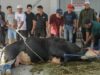 Habiburokhman, la vaca de sacrificio Prabowo de APBN: no es falsa
| Habiburokhman, la vaca de sacrificio Prabowo de APBN: no es falsa
|
