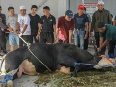 Habiburokhman, la vaca de sacrificio Prabowo de APBN: no es falsa
| Habiburokhman, la vaca de sacrificio Prabowo de APBN: no es falsa
|