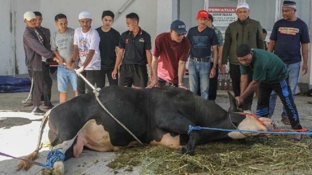 Habiburokhman, la vaca de sacrificio Prabowo de APBN: no es Habiburokhman, la vaca de sacrificio Prabowo de APBN: no es falsa
|