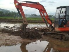 La colaboración de los residentes y el grupo de trabajo del PRR restaura 1.323 hectáreas o el 88 por ciento de los campos de arroz en Solok
| La colaboración de los residentes y el grupo de trabajo del PRR restaura 1.323 hectáreas o el 88 por ciento de los campos de arroz en Solok
|
