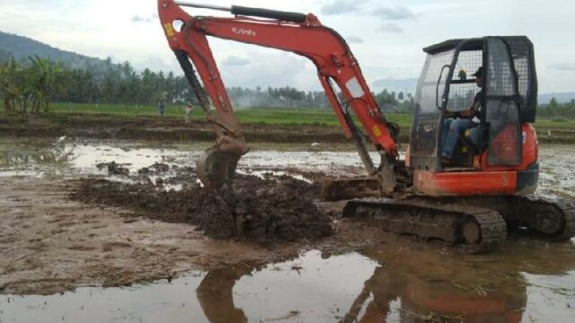 La colaboración de los residentes y el grupo de trabajo La colaboración de los residentes y el grupo de trabajo del PRR restaura 1.323 hectáreas o el 88 por ciento de los campos de arroz en Solok
|