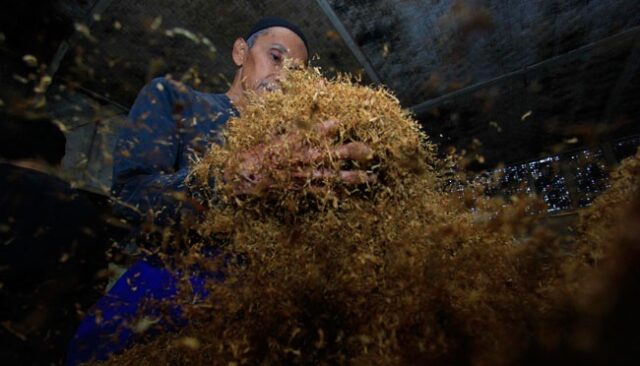 Las ZEE del tabaco pueden potencialmente desencadenar conflictos económicos y sanitarios

 | 