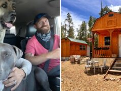 Un matrimonio compró un terreno de 380 m². Fuerte. Cobertizo por $12.000, transformado en una pequeña casa
| Real Estate,lifestyle,real-estate,tiny-home,tiny-living,alternative-living,shed Un matrimonio compró un terreno de 380 m². Fuerte. Cobertizo por $12.000, transformado en una pequeña casa
| Real Estate,lifestyle,real-estate,tiny-home,tiny-living,alternative-living,shed