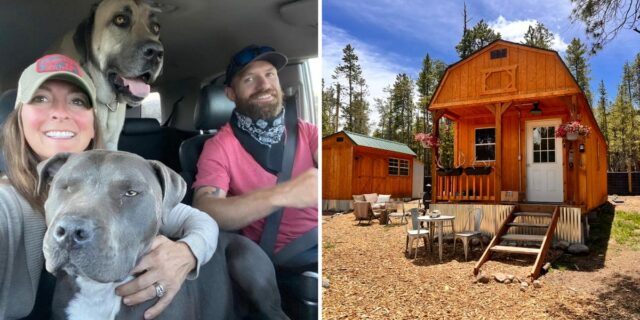 Un matrimonio compró un terreno de 380 m². Fuerte. Cobertizo por $12.000, transformado en una pequeña casa

 | Real Estate,lifestyle,real-estate,tiny-home,tiny-living,alternative-living,shed