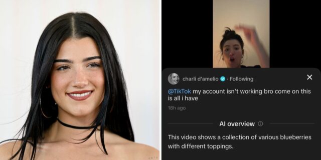 TikTok abandona las pruebas de la función de inteligencia artificial que se volvió loca

 | Media,Tech,tiktok,ai,artificial-intelligence,limited-synd,exclusive