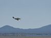 El ejército estadounidense voló un dron furtivo híbrido experimental en California
| Military & Defense,us-military-and-defense,drone-warfare,warfare-big-bet El ejército estadounidense voló un dron furtivo híbrido experimental en California
| Military & Defense,us-military-and-defense,drone-warfare,warfare-big-bet