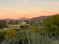 La mejor región vinícola para visitar este verano es México: qué hacer allí
| Travel,travel,sommelier,mexico,wine,wine-tourism,winery,freelancer-le La mejor región vinícola para visitar este verano es México: qué hacer allí
| Travel,travel,sommelier,mexico,wine,wine-tourism,winery,freelancer-le