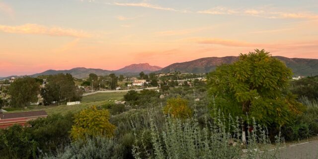 La mejor región vinícola para visitar este verano es México: qué hacer allí

 | Travel,travel,sommelier,mexico,wine,wine-tourism,winery,freelancer-le