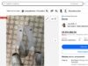 La cuenta de eBay del CEO de GameStop restablecida después de la suspensión
| Tech,gamestop,ebay,ryan-cohen,suspension La cuenta de eBay del CEO de GameStop restablecida después de la suspensión
| Tech,gamestop,ebay,ryan-cohen,suspension