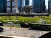 Flying Taxi Company se enfrenta a su primera gran prueba de viajes en Nueva York
| Travel,Transportation,blade,aviation,helicopters,evtols,flying-taxi,commuting,new-york-city,air-taxi,long-island,lirr,long-island-railroad Flying Taxi Company se enfrenta a su primera gran prueba de viajes en Nueva York
| Travel,Transportation,blade,aviation,helicopters,evtols,flying-taxi,commuting,new-york-city,air-taxi,long-island,lirr,long-island-railroad