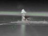 Ucrania actualiza drones de largo alcance con cohetes para atacar la retaguardia rusa
| Military & Defense,ukraine-war,warfare-big-bet,drone-warfare Ucrania actualiza drones de largo alcance con cohetes para atacar la retaguardia rusa
| Military & Defense,ukraine-war,warfare-big-bet,drone-warfare