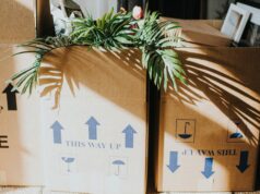 Salimos de California hacia Texas. No valió la pena y volvimos.
| Real Estate,california,texas,relocation,moving,cost-of-living,as-told-to Salimos de California hacia Texas. No valió la pena y volvimos.
| Real Estate,california,texas,relocation,moving,cost-of-living,as-told-to