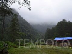 Estudiante de ITB presuntamente desaparecido en el monte Puntang
| Estudiante de ITB presuntamente desaparecido en el monte Puntang
|