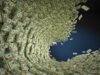 Las acciones se mantienen a flote, pero se está desarrollando una ola de volatilidad
| Las acciones se mantienen a flote, pero se está desarrollando una ola de volatilidad
|