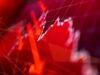 Por qué es necesaria una venta masiva de acciones «significativa» para reducir los rendimientos de los bonos
| Por qué es necesaria una venta masiva de acciones "significativa" para reducir los rendimientos de los bonos
|