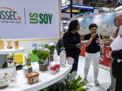Estados Unidos y Brasil se pelean por el gigante mercado chino de la soja
| Estados Unidos y Brasil se pelean por el gigante mercado chino de la soja
|