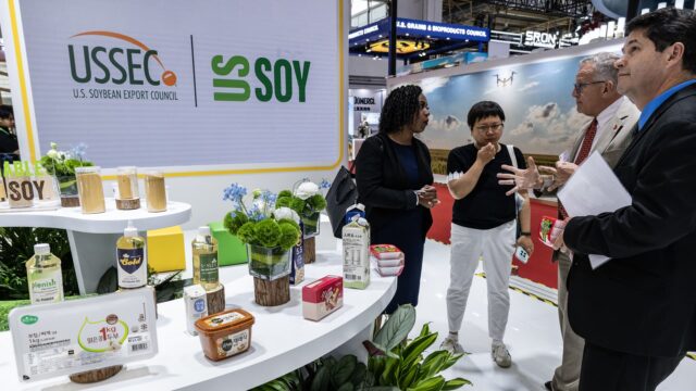 Estados Unidos y Brasil se pelean por el gigante mercado Estados Unidos y Brasil se pelean por el gigante mercado chino de la soja
|