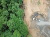 Coalición insta a la RPD a revisar la ley forestal
| Coalición insta a la RPD a revisar la ley forestal
|