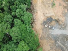 Coalición insta a la RPD a revisar la ley forestal
| Coalición insta a la RPD a revisar la ley forestal
|
