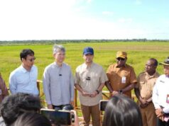 Indonesia y China impulsan la productividad agrícola en la zona de transmigración de Salor
| Indonesia y China impulsan la productividad agrícola en la zona de transmigración de Salor
|