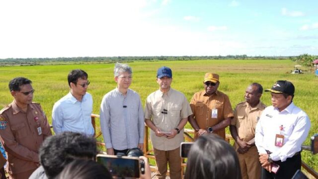 Indonesia y China impulsan la productividad agrícola en la zona de transmigración de Salor

 | 