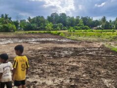 El gobierno de Pidie estimuló la recuperación de los campos de arroz, 287 hectáreas cosechadas dos veces
| El gobierno de Pidie estimuló la recuperación de los campos de arroz, 287 hectáreas cosechadas dos veces
|
