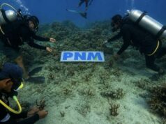 Diversas acciones del PNM preservan los ecosistemas marinos y costeros para las generaciones futuras
| Diversas acciones del PNM preservan los ecosistemas marinos y costeros para las generaciones futuras
|