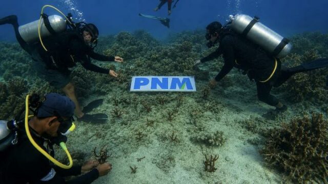 Diversas acciones del PNM preservan los ecosistemas marinos y costeros Diversas acciones del PNM preservan los ecosistemas marinos y costeros para las generaciones futuras
|