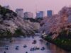 Callista Tour presenta paquetes asequibles en Japan Gold Road
| Callista Tour presenta paquetes asequibles en Japan Gold Road
|