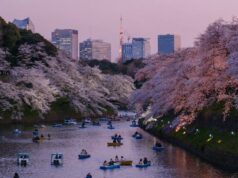 Callista Tour presenta paquetes asequibles en Japan Gold Road
| Callista Tour presenta paquetes asequibles en Japan Gold Road
|