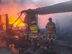 Quemaron decenas de quioscos en el pueblo de Lio y Depok
| Quemaron decenas de quioscos en el pueblo de Lio y Depok
|