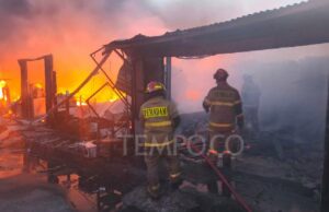 Quemaron decenas de quioscos en el pueblo de Lio y Depok
| Quemaron decenas de quioscos en el pueblo de Lio y Depok
|