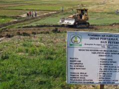El grupo de trabajo del PRR instala 70 puntos de riego con bombas y el 60 por ciento de los campos de arroz dañados están listos para plantar
| El grupo de trabajo del PRR instala 70 puntos de riego con bombas y el 60 por ciento de los campos de arroz dañados están listos para plantar
|