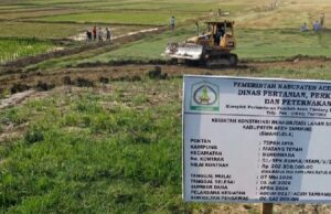 El grupo de trabajo del PRR instala 70 puntos de riego con bombas y el 60 por ciento de los campos de arroz dañados están listos para plantar
| El grupo de trabajo del PRR instala 70 puntos de riego con bombas y el 60 por ciento de los campos de arroz dañados están listos para plantar
|