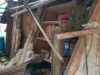 BMKG: No se han reportado muertes por el terremoto de Palu
| BMKG: No se han reportado muertes por el terremoto de Palu
|