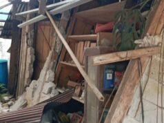 BMKG: No se han reportado muertes por el terremoto de Palu
| BMKG: No se han reportado muertes por el terremoto de Palu
|