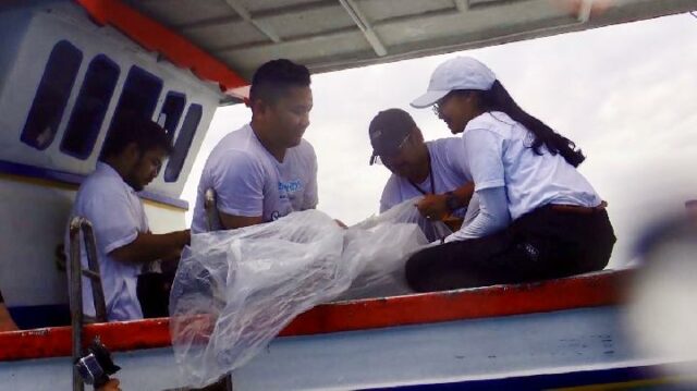 KKP libera decenas de tiburones cautivos | KKP libera decenas de tiburones cautivos
|