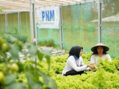 PNM gana cuatro premios en el Indonesia Sustainability Award 2026
| PNM gana cuatro premios en el Indonesia Sustainability Award 2026
|