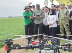 El gobierno provincial de Lampung fortalece el apoyo a los agricultores
| El gobierno provincial de Lampung fortalece el apoyo a los agricultores
|