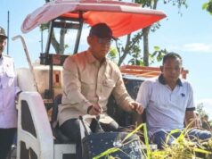 Ngawi fortalece la autosuficiencia alimentaria nacional
| Ngawi fortalece la autosuficiencia alimentaria nacional
|