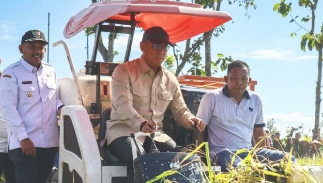 Ngawi fortalece la autosuficiencia alimentaria nacional

 | 