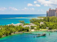 Cosas que nunca debes hacer en las Bahamas, según las autoridades locales
| Travel,freelancer,evergreen-story,the-bahamas,tourism,features,island,travel,tourists,mistakes,bahamas,freelancer-le Cosas que nunca debes hacer en las Bahamas, según las autoridades locales
| Travel,freelancer,evergreen-story,the-bahamas,tourism,features,island,travel,tourists,mistakes,bahamas,freelancer-le