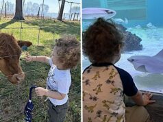 Un día de diversión semanal ayuda a combatir los terribles dos
| Parenting,parenting,parenting-freelancer,toddler,tantrums Un día de diversión semanal ayuda a combatir los terribles dos
| Parenting,parenting,parenting-freelancer,toddler,tantrums